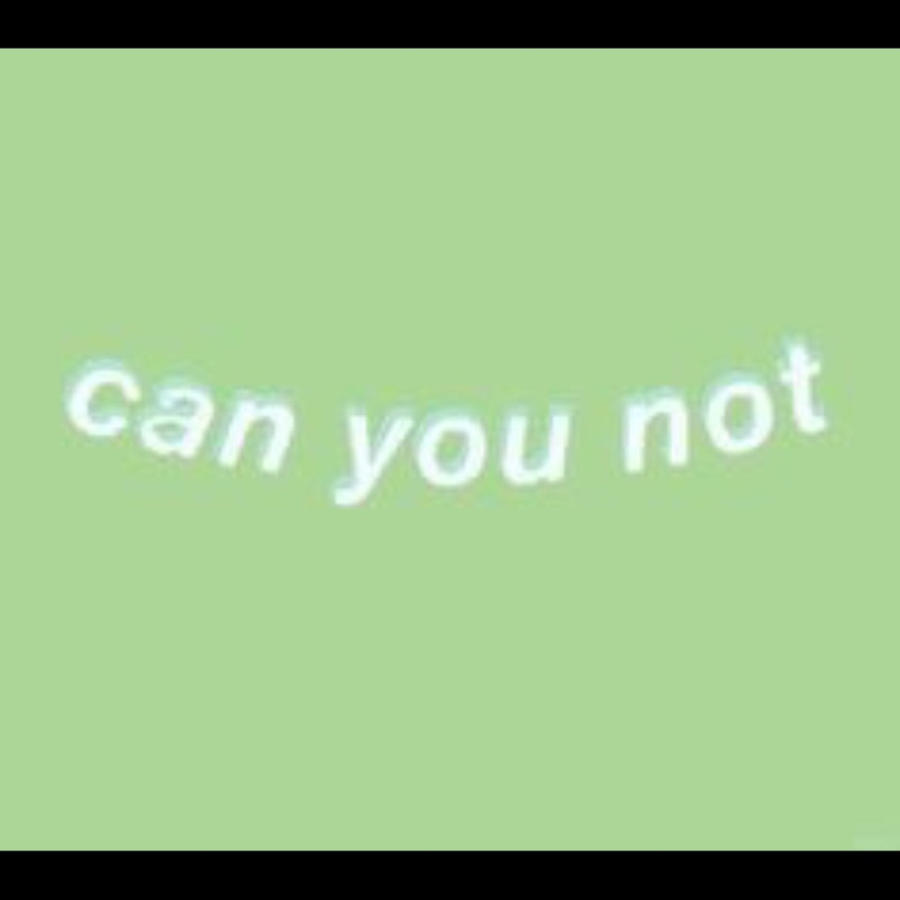 Meet your Posher, Sylvia